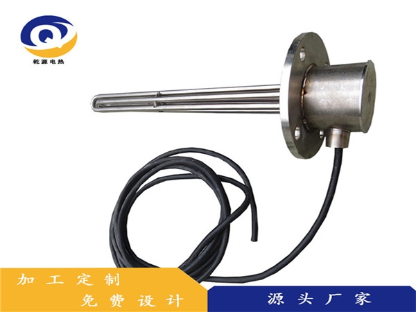防爆法兰加热管